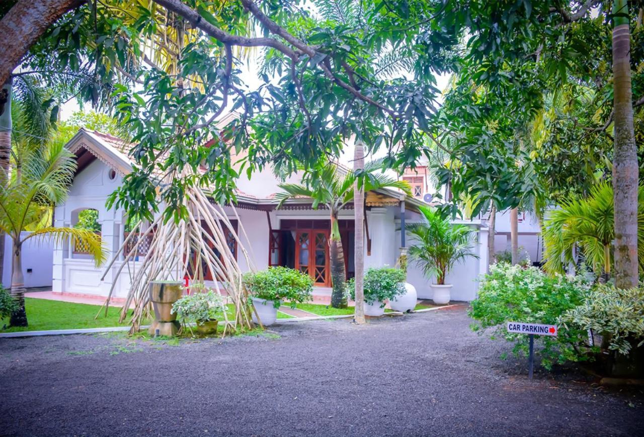 Tamarind Moon Hostel Dikwella Kültér fotó